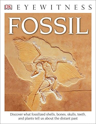 Eyewitness Fossil (DK Eyewitness)