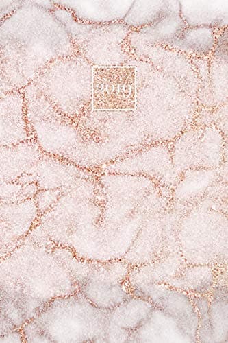 2019: A5 Diary Week to View Horizontal Layout WO2P Planner Journal | Rose Gold Marble Glitter Paperback – 19 Nov. 2018
