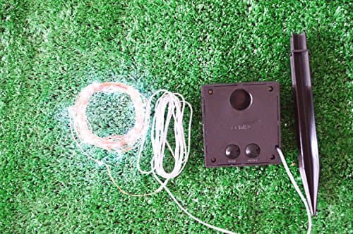 QCLED Solar String Lights on Copper Wire by - Starry String Lights -Solar Starry String Lights -100 Warm White LED - 33 Feet Long - Strings of Lights - String Outdoor Lights - Solar String Lights Outdoor - LED String Lights - Light String Graden - - White Lights (White)