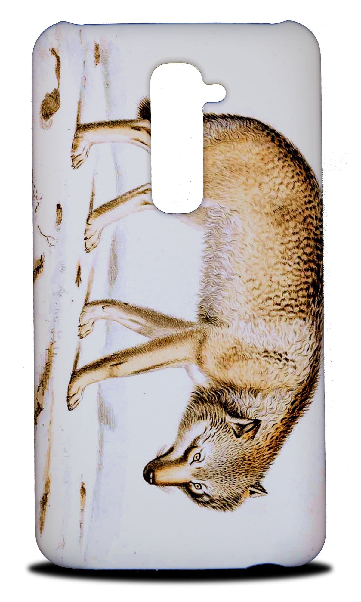 Foxercases Design Fun Classic Cute Fox #9 Hard Back Case Cover for LG G2