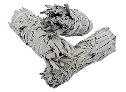 White Sage Smudge Stick - 3 Pack Bundle - 4 Inches - Wild Harvested - California Smudge Stick Wand