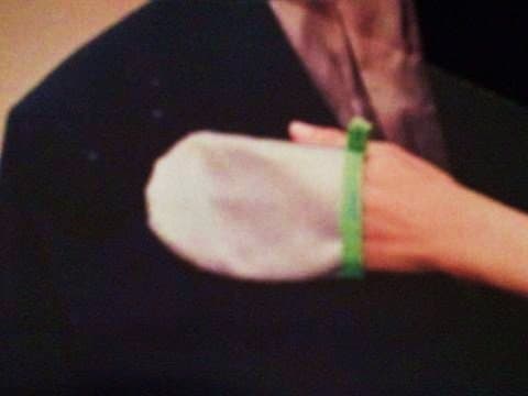 Norwex Lint Mitt by Norwex