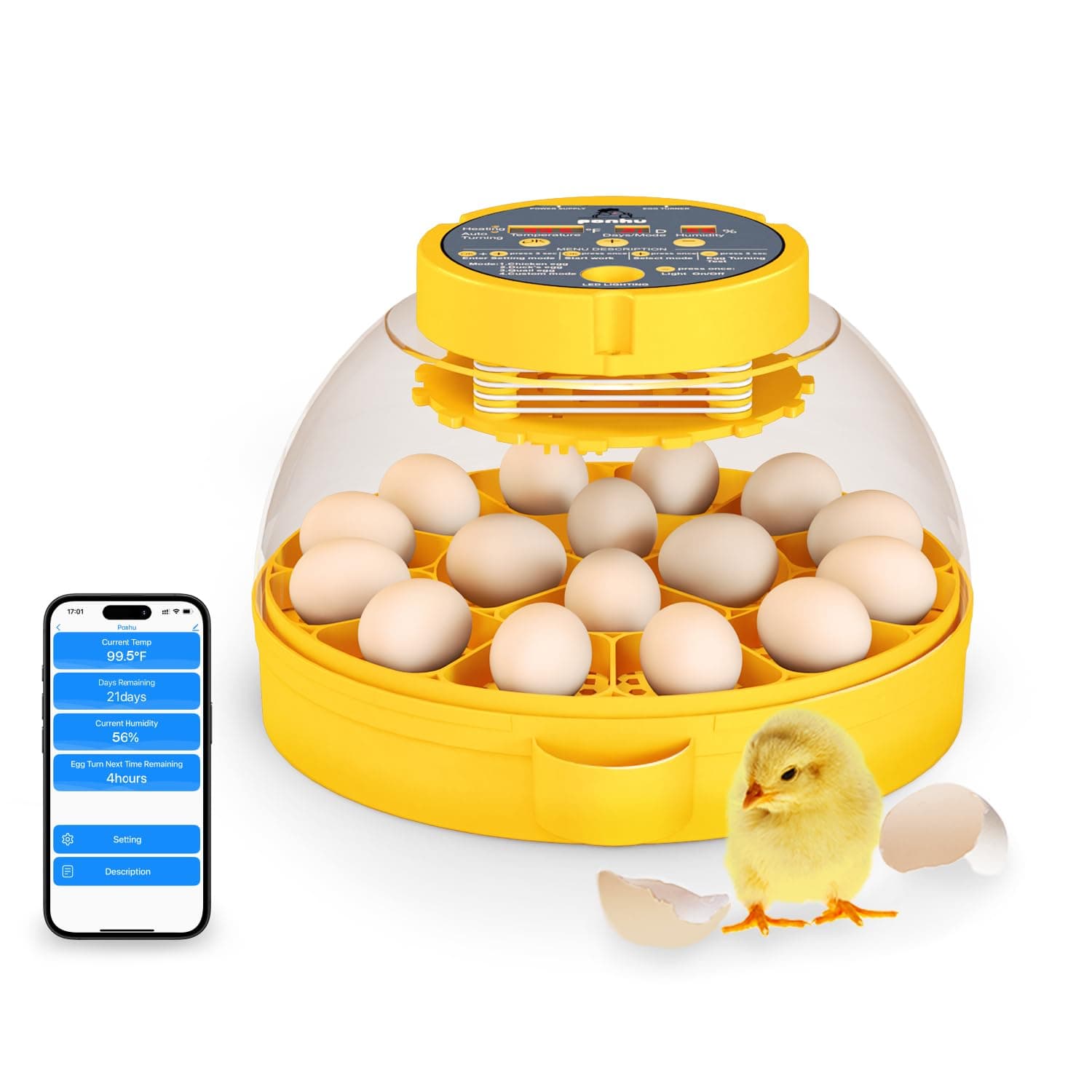 16 Egg incubator with automatic egg turning and humidity control,Incubators for hatching eggs,Incubator for chicken eggs,Duck,Quail, Pigeon,Intelligent Temperature, Egg Candler and Humidity Control