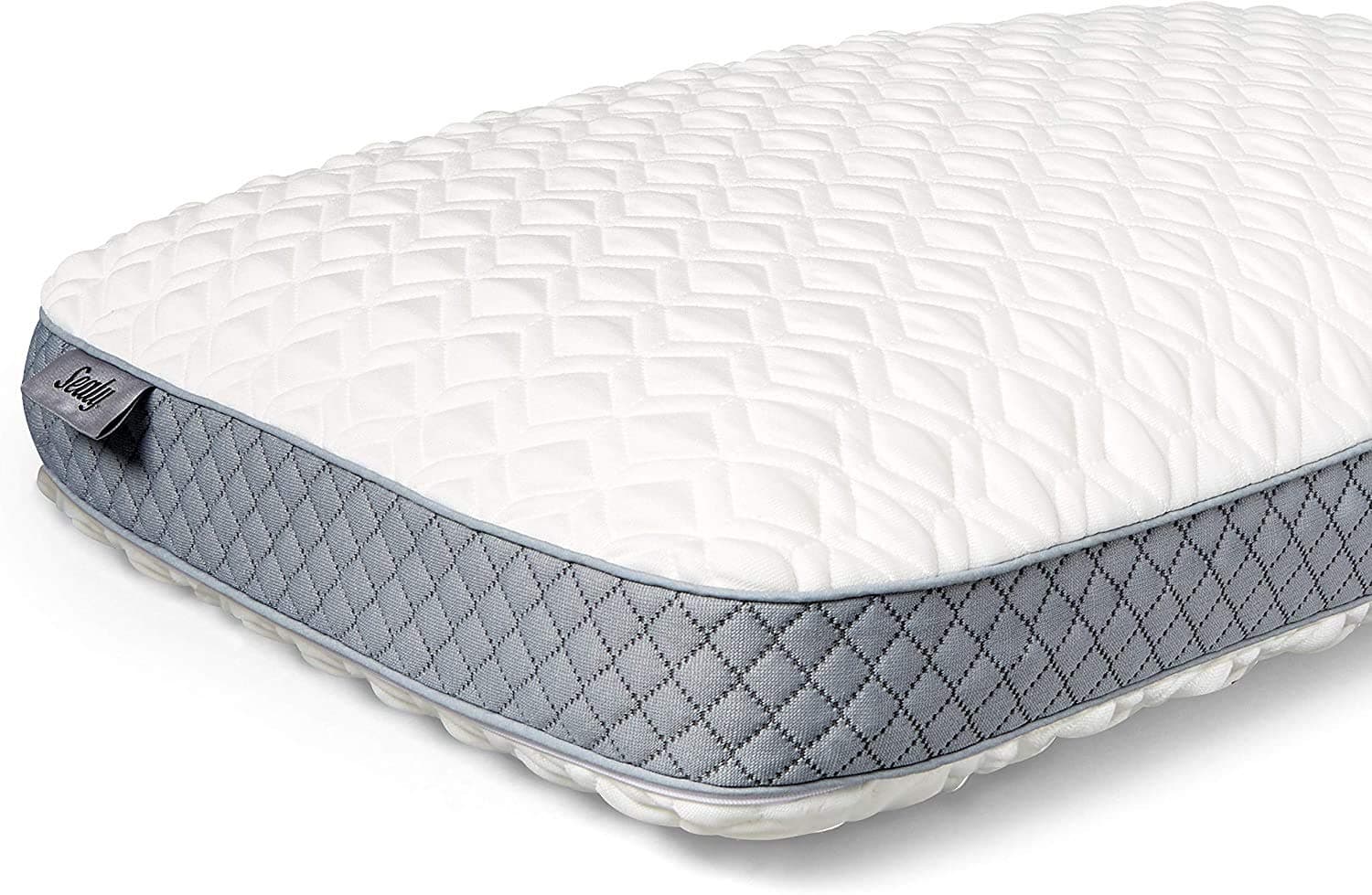 Sealy Molded Memory Foam Pillow, Standard, White, Gray