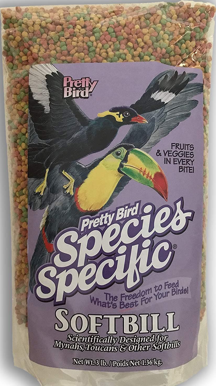 Pretty Bird International BPB73314 Softbill Select