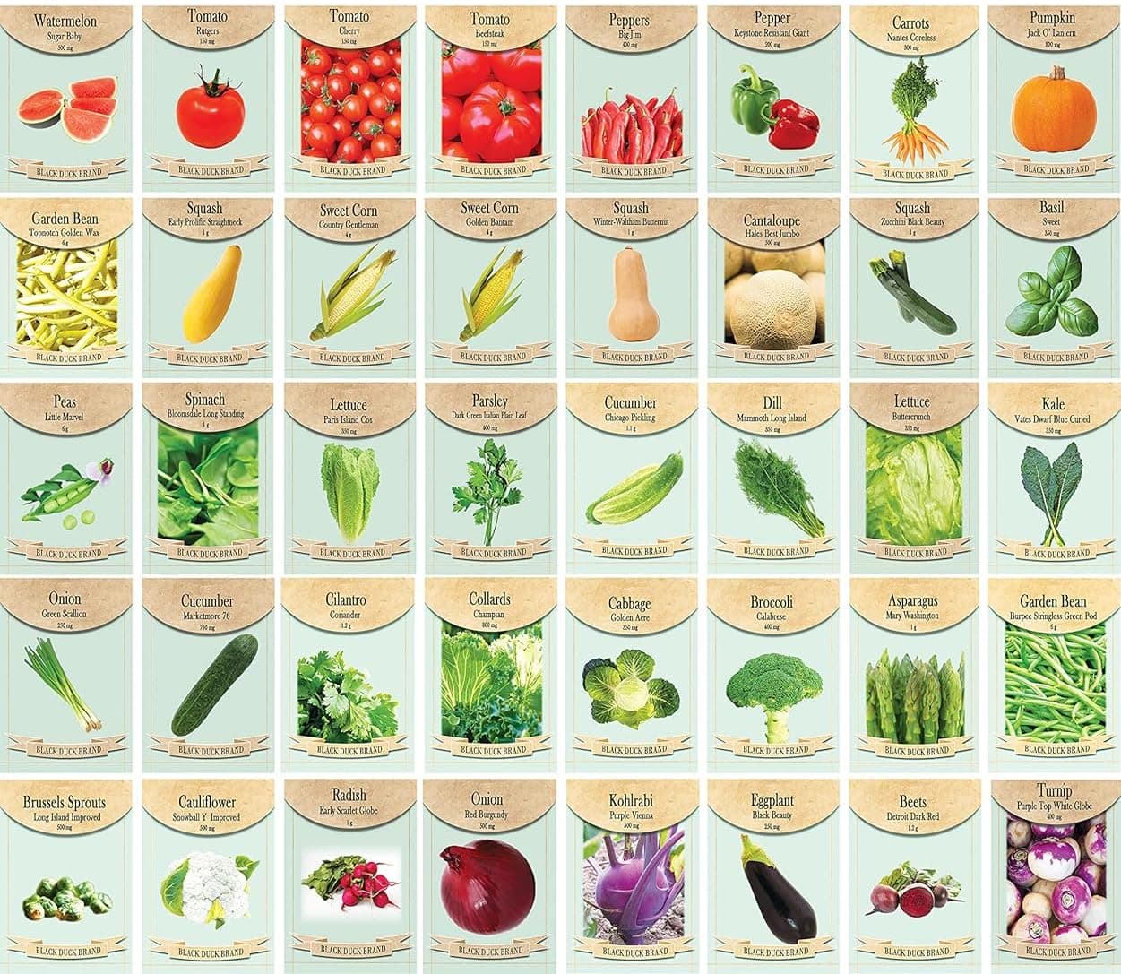 Set of 40 Assorted Vegetable Packets with Beginners Growing Guide & Mylar Storage Bag | Non-GMO | Heirloom