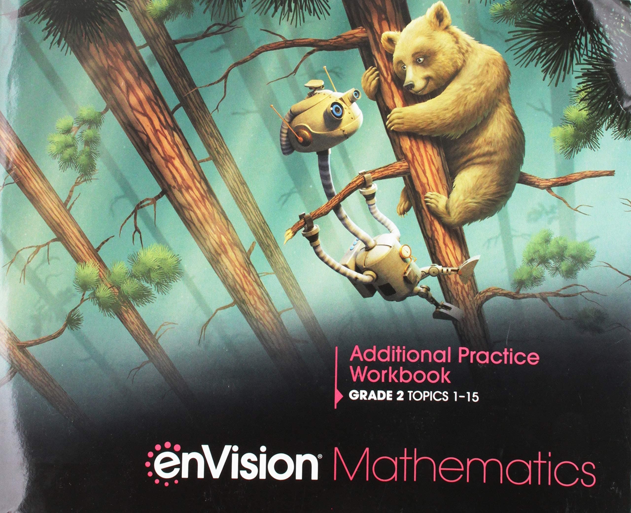 Envision Mathematics 2020 Additional Practice Workbook Grade 2